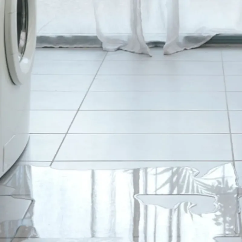 Appliance Leak Cleanup in Walterboro, SC