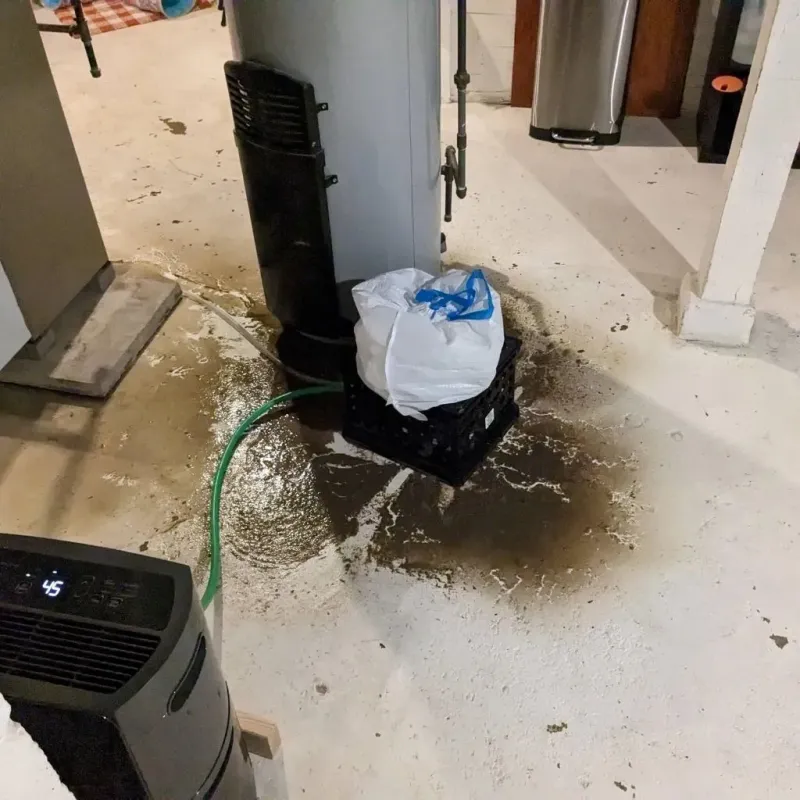 Sewage Backup Cleanup Service in Walterboro, SC